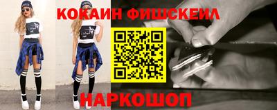 стаф Можга