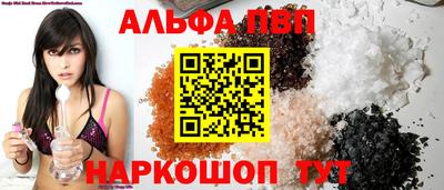 стаф Можга
