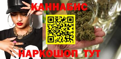 стаф Можга