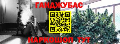 стаф Можга