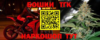 стаф Можга