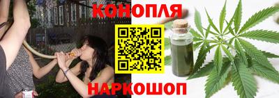 стаф Можга