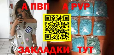 стаф Можга